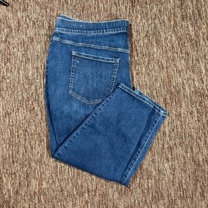 Lane Bryant Plus Size High Rise Dark Wash Pull On Jeggings 28P